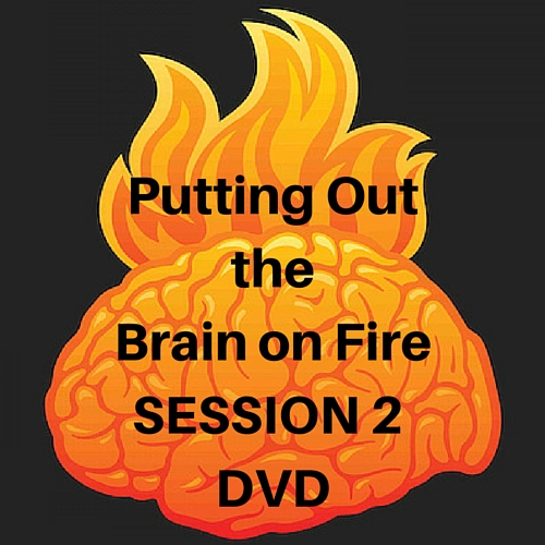 Brain on Fire SESSION 2 DVD