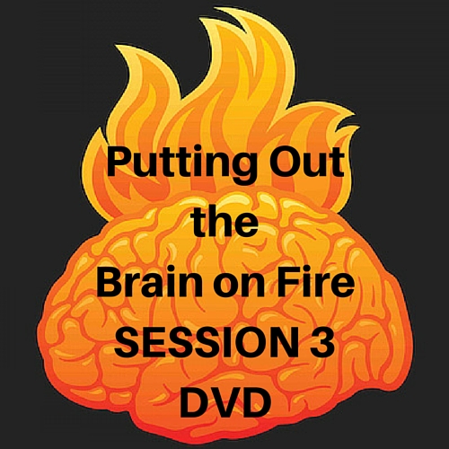 Brain on Fire SESSION 3 DVD
